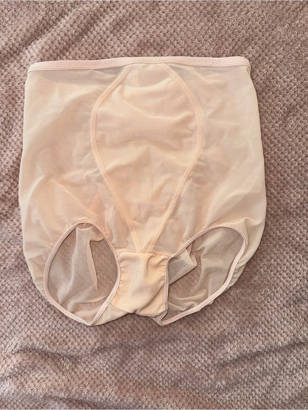Vintage Warner's Light Nude High-Waist Shaping Briefs